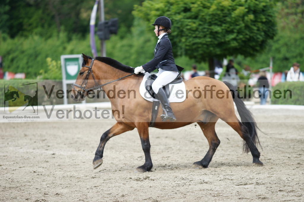 DSC04534 | equestrian-live-com