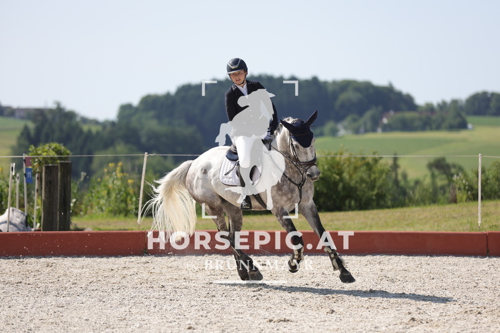 0P6A7758 | Willkommen bei Brunnmayr - Design & Fotografie – Ihrem Spezialisten für Reitturniere und Pferdeveranstaltungen in Oberösterreich, Salzburg und Bayern! Seit über 17 Jahren sind wir leidenschaftlich dabei.