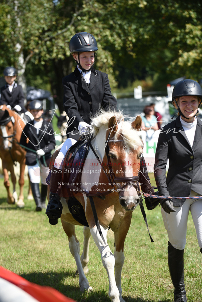 DSC_9677 | Pferde- und Turnierfotografie in Westsachsen. Pferdeportraits, Auftragszeichnungen und intuitive Kunst.