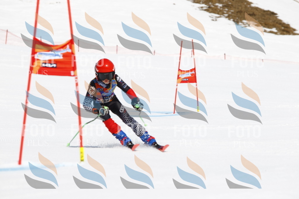 _U3G4903 | holidayphoto