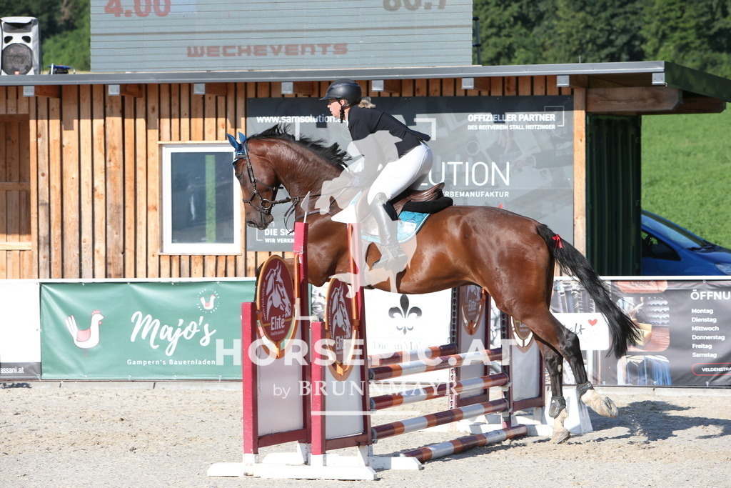 PP016354 | Willkommen bei Brunnmayr - Design & Fotografie – Ihrem Spezialisten für Reitturniere und Pferdeveranstaltungen in Oberösterreich, Salzburg und Bayern! Seit über 17 Jahren sind wir leidenschaftlich dabei.