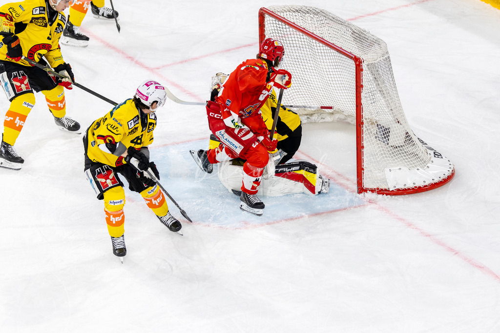 EHCB vs SCB 20260312_wb-4078 | Sportbilder, Sportfotograf, Hochzeits- und Eventfotografin, Flugshows, Portraits und Tiershooting, Aviation, Downhill, Nationalleague, Swissleague, International