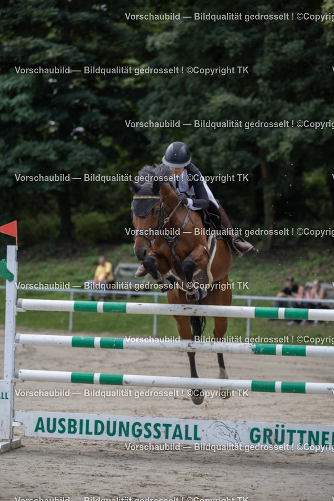 _D5A1233 | Emotionale Pferde- & People-Fotografie rund um Heidelberg, Leimen & Umgebung. Natürliche Fotos von Pferd, Mensch & Familie. Jetzt Termin sichern!