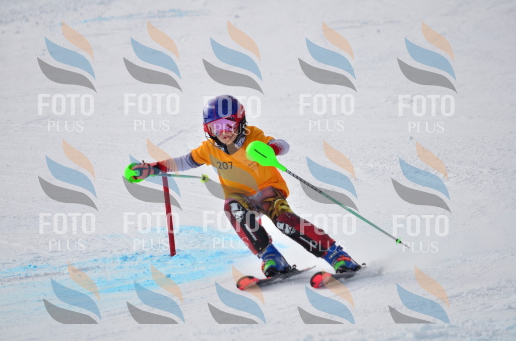 C8153 | holidayphoto