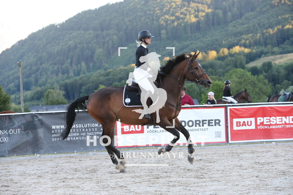 PP015513 | Willkommen bei Brunnmayr - Design & Fotografie – Ihrem Spezialisten für Reitturniere und Pferdeveranstaltungen in Oberösterreich, Salzburg und Bayern! Seit über 17 Jahren sind wir leidenschaftlich dabei.