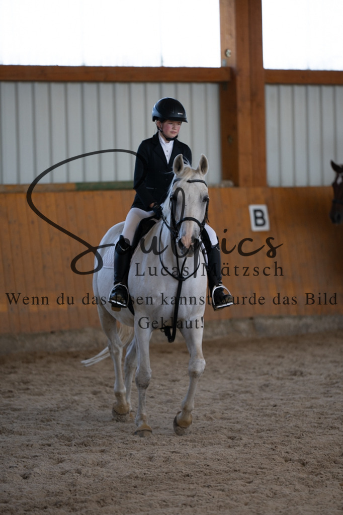 A7V02047 | Pferdefotograf