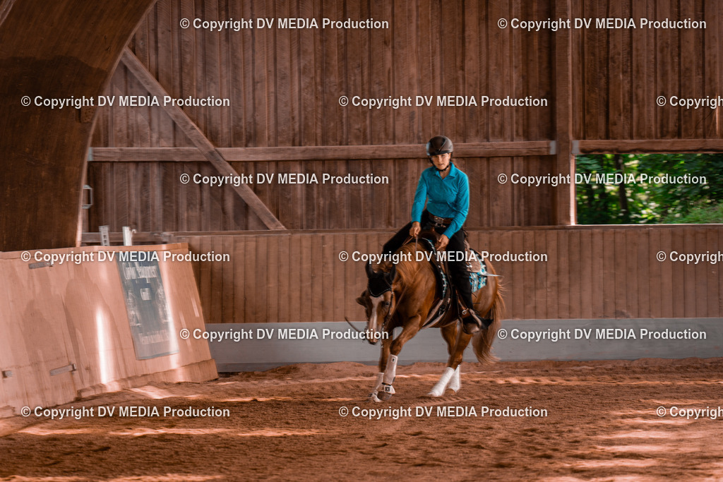 NE201097 | dv-media-shop - Realisiert mit Pictrs.com