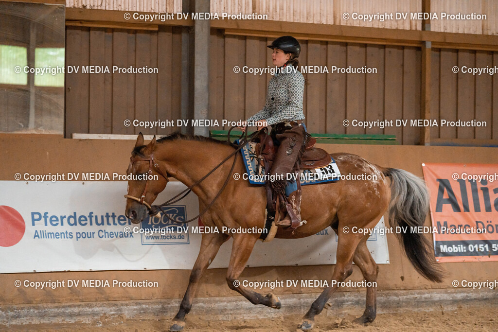 Losheim Tag 1-252 | dv-media-shop - Realisiert mit Pictrs.com