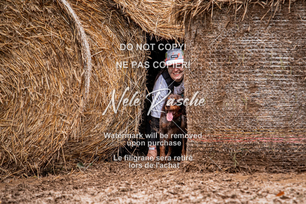 nelerasche_Hunsrück_So09-11_51 | nelerasche
