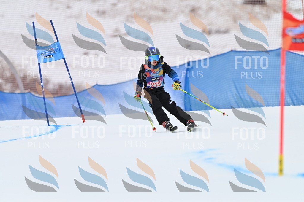 BGV_2725 | holidayphoto