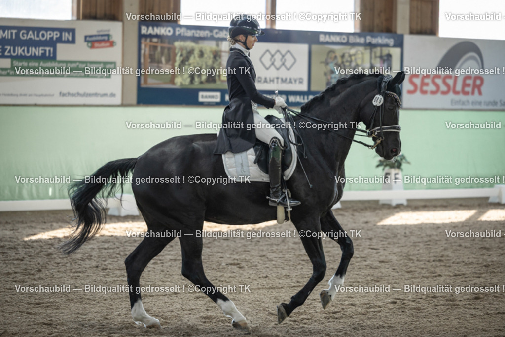 _D5A0267 | Emotionale Pferde- & People-Fotografie rund um Heidelberg, Leimen & Umgebung. Natürliche Fotos von Pferd, Mensch & Familie. Jetzt Termin sichern!