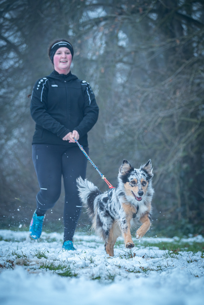 allesWIRTHgut Tierfotografie - 7IV07535-Verbessert-RR | Professionelle Tierfotografie in Mönchengladbach von Daniel Wirth (allesWIRTHgut). Liebevolle & natürliche Bilder von Hunden & Katzen für unvergessliche Erinnerungen.