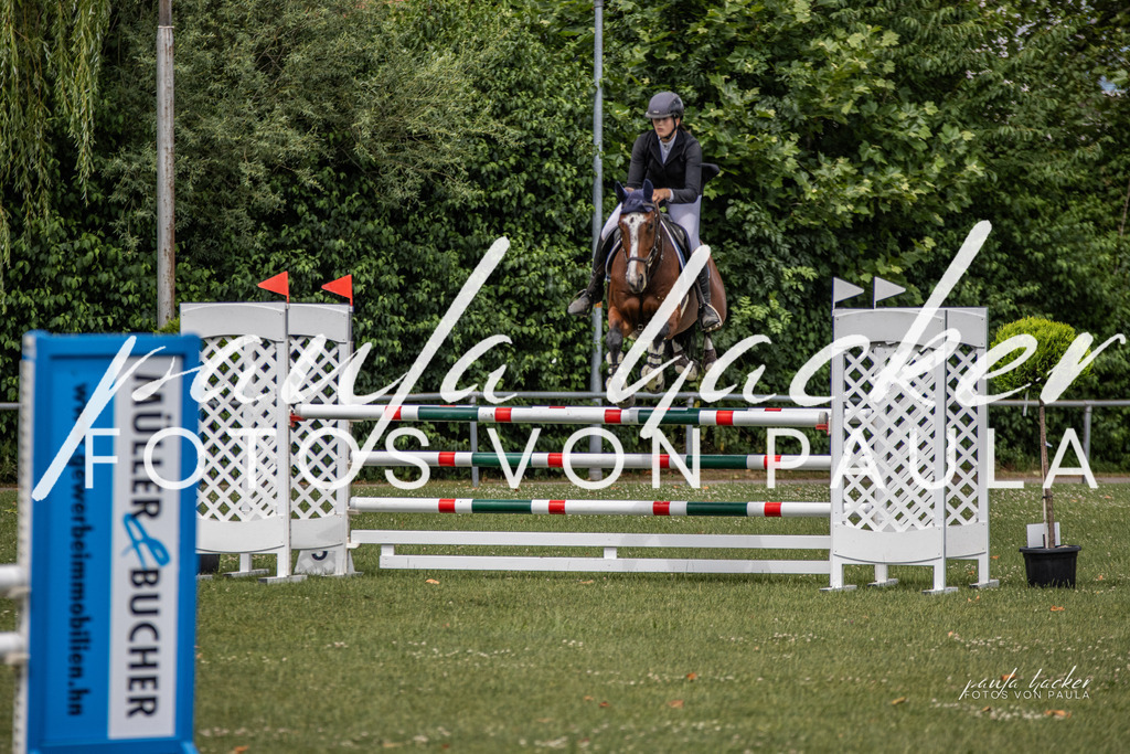 IMG_7079 | Erleben Sie dynamische Sport- und emotionale Tierfotografie in Süddeutschland mit Fotos von Paula. Spezialisiert auf Pferde- und Hundefotografie sowie Sportevents. Kontaktieren Sie mich für einzigartige und ausdrucksstarke Bilder Ihrer besonderen Momente. - Realisiert mit Pictrs.com