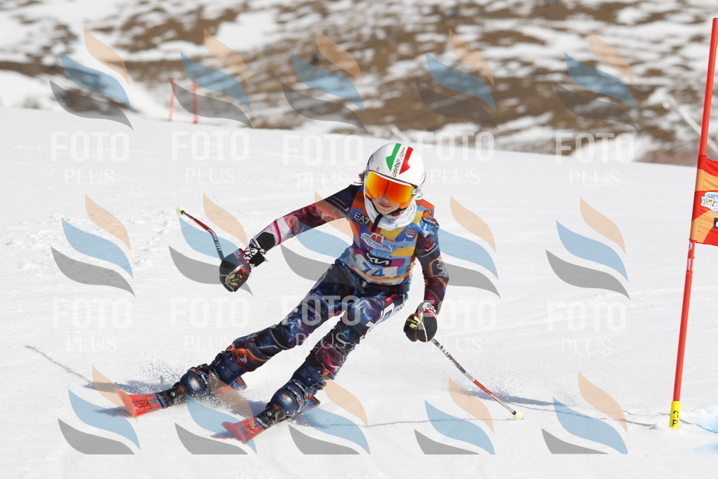 _U3G9904 | holidayphoto