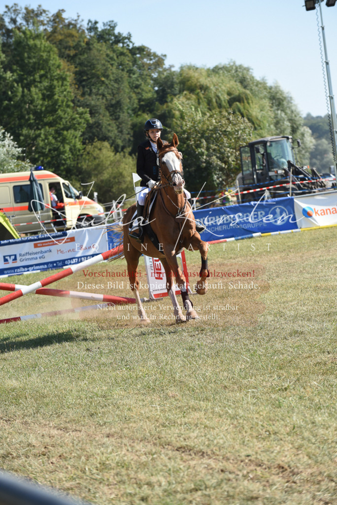DSC_5961 | Pferde- und Turnierfotografie in Westsachsen. Pferdeportraits, Auftragszeichnungen und intuitive Kunst.