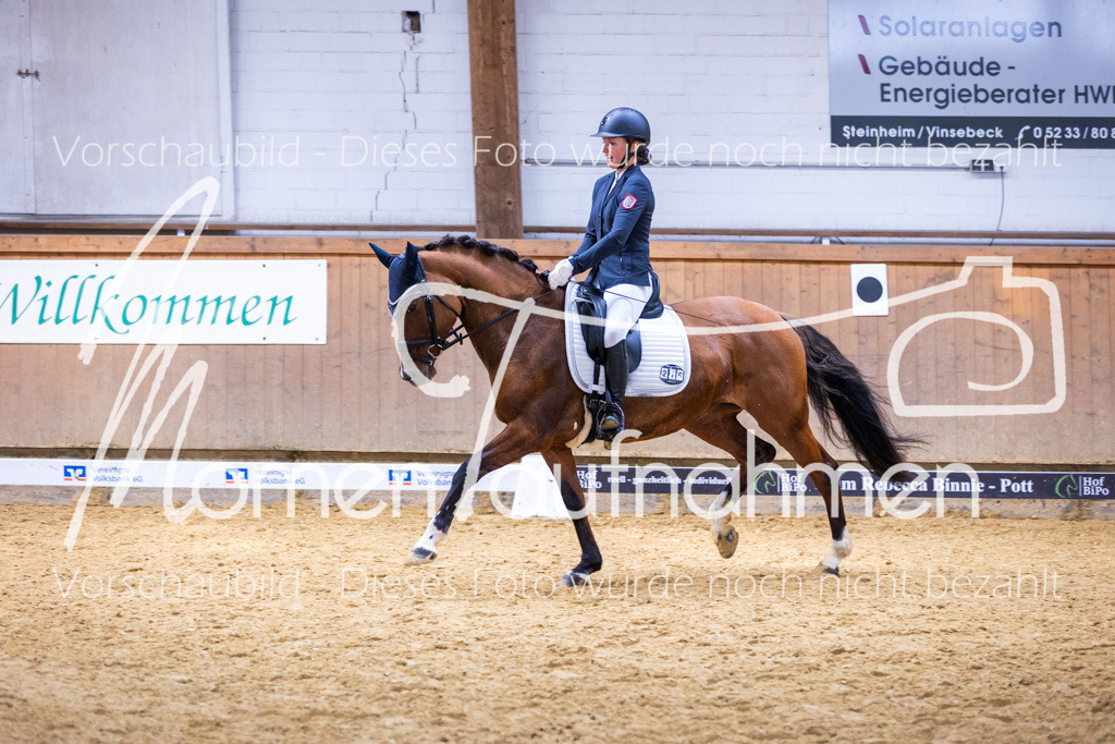 Sth-A-Dre-2St-216 | MomenTaufnahmen Pferdesportfotos