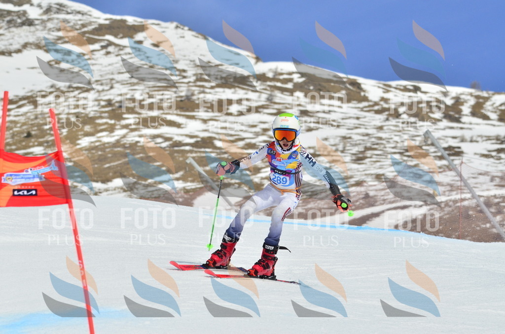 _ELE2057 | holidayphoto