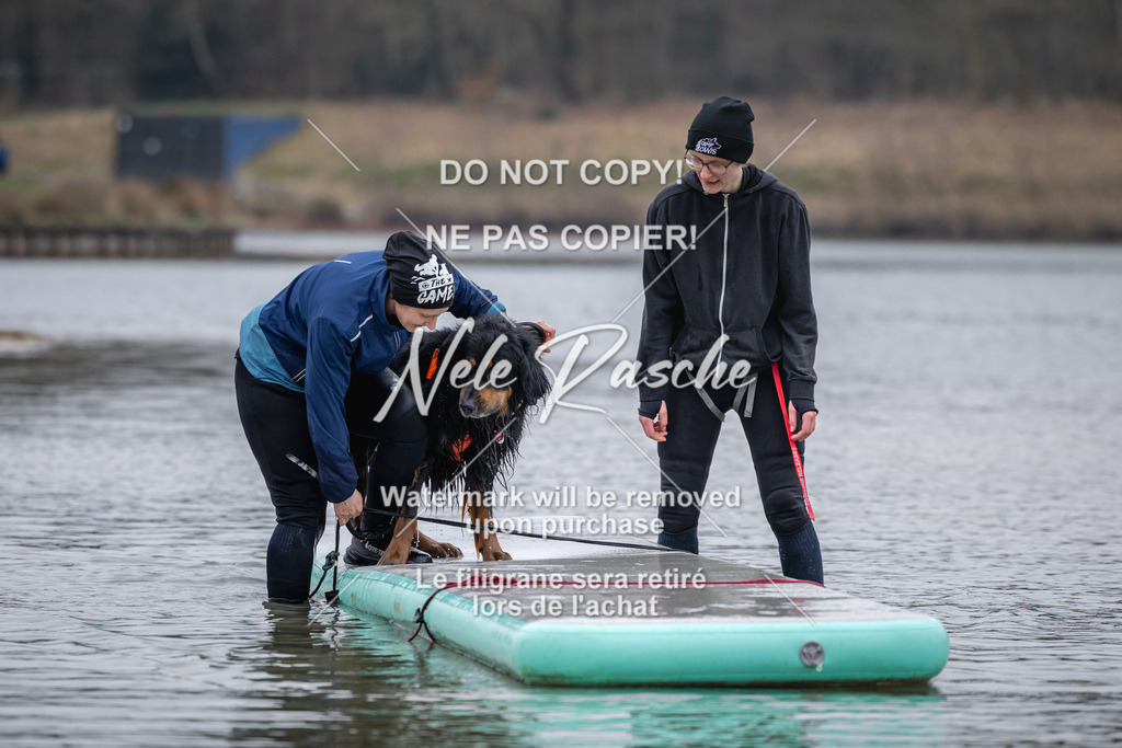 nelerasche_Hulsbeek_Sa1600-1700_73 | nelerasche