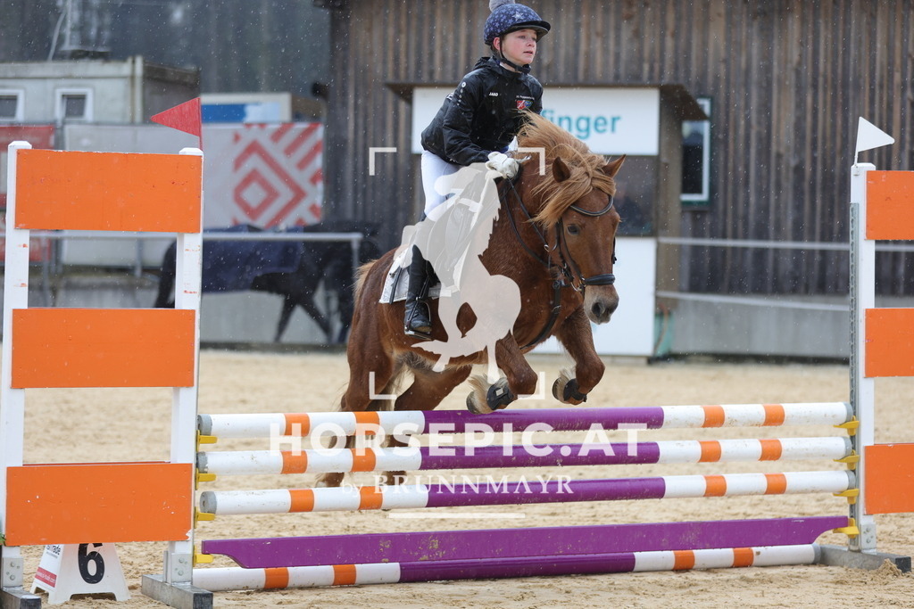 0P6A7274 | Willkommen bei Brunnmayr - Design & Fotografie – Ihrem Spezialisten für Reitturniere und Pferdeveranstaltungen in Oberösterreich, Salzburg und Bayern! Seit über 17 Jahren sind wir leidenschaftlich dabei.