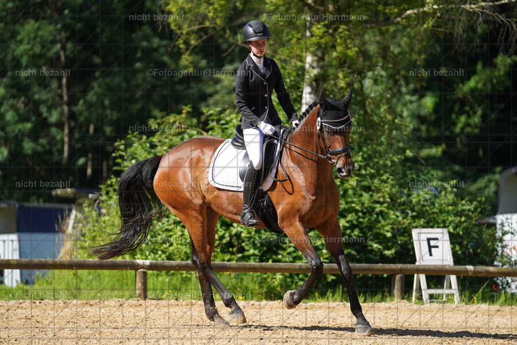 20240706-FAH04676 | Grafing Turnierfotos, Reitverein Ebersberg, Turnierfotografen Bayern, reitsportbilder, Pferdefotograf, reitsportfotograf, Sportbilder, Reitsportfotografie, Fotoagentur Herrmann, Turnierfotograf