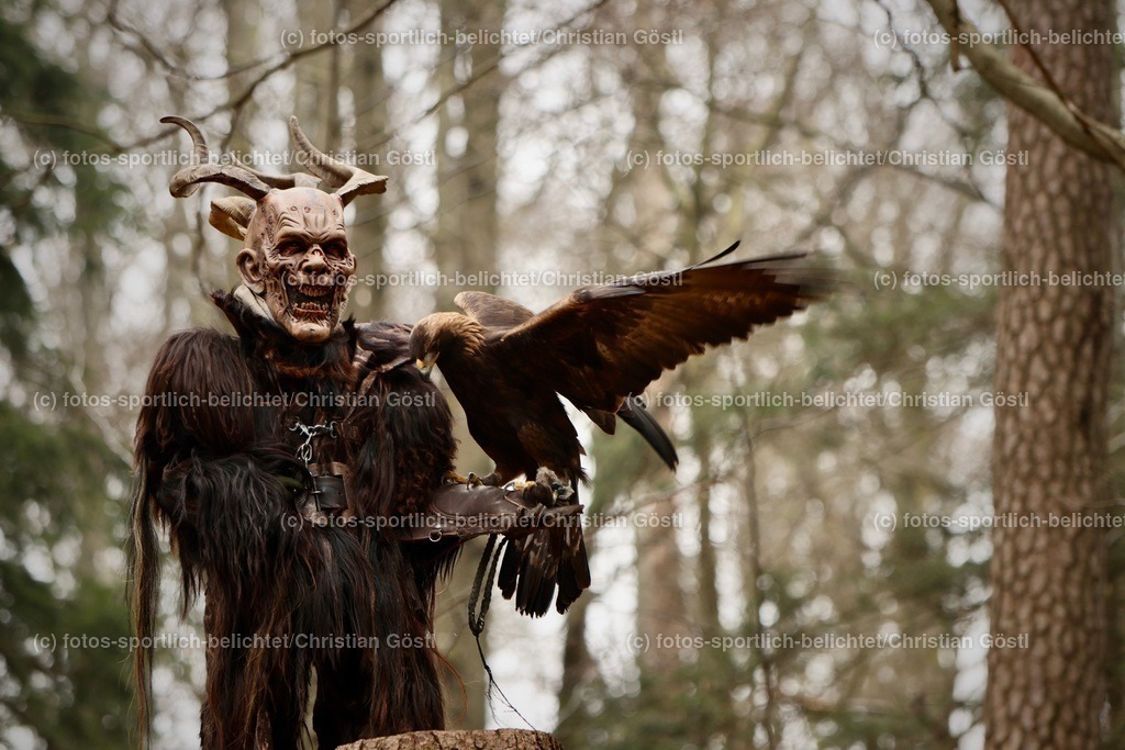 IMG_1784 | fotos-sportlich-belichtet - Realisiert mit Pictrs.com