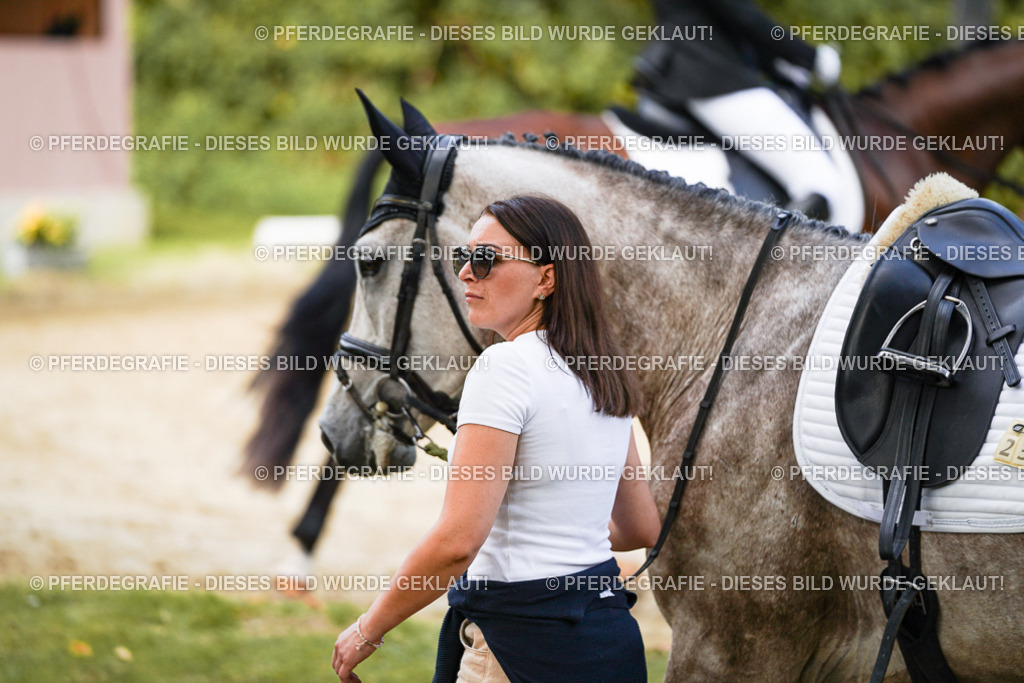 DSC09007 | Pferdegrafie