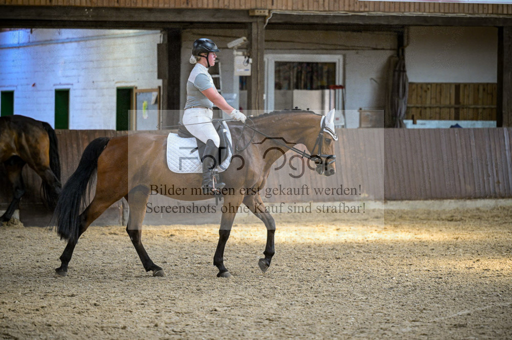 Reitturnier Voxtrup | Entdecke hochwertige Reitturnierfotos von Foto Oger. Professionell, emotional und authentisch – jetzt Lieblingsmomente im Shop bestellen.Deutschlandweite Turnierfotografie. - Realisiert mit Pictrs.com