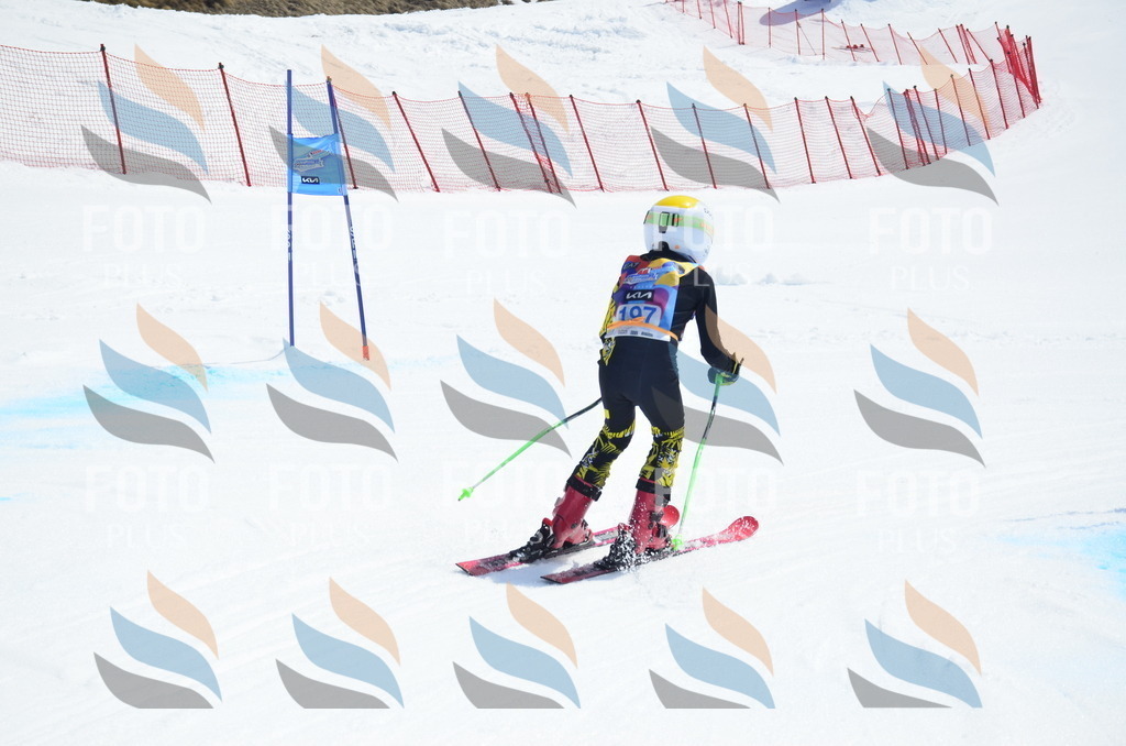 _ELE1344 | holidayphoto