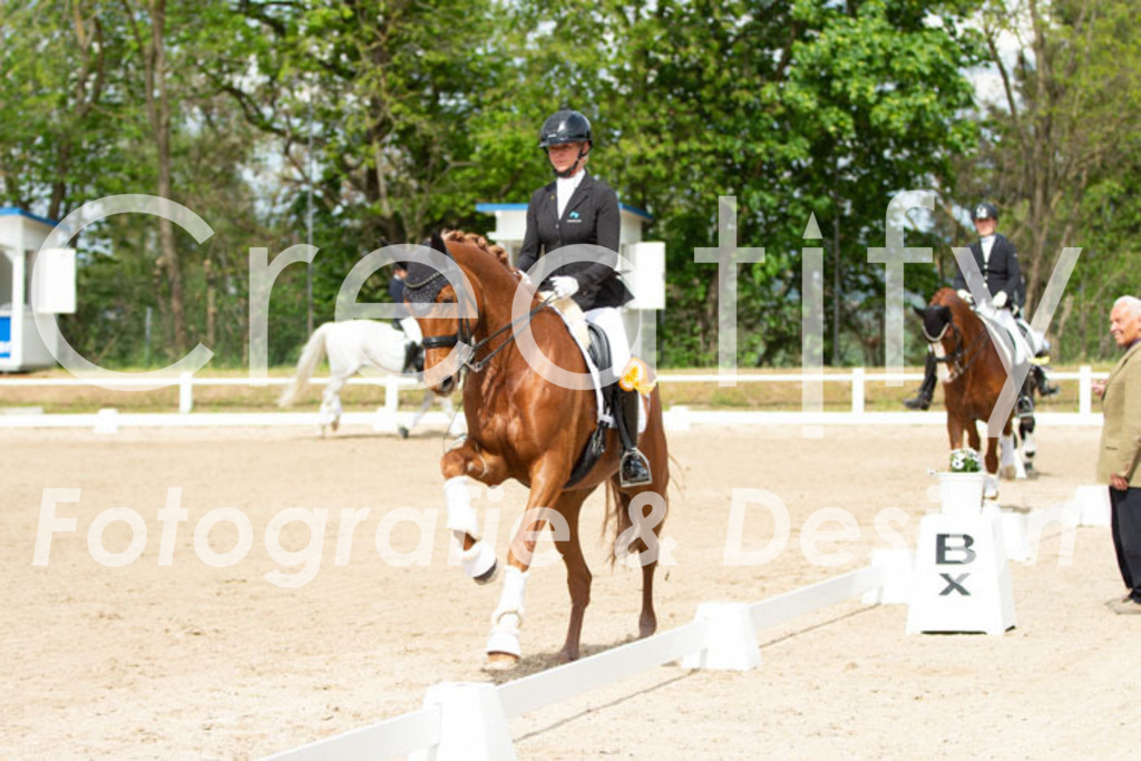 IMG_7024 | Creatify Fotografie