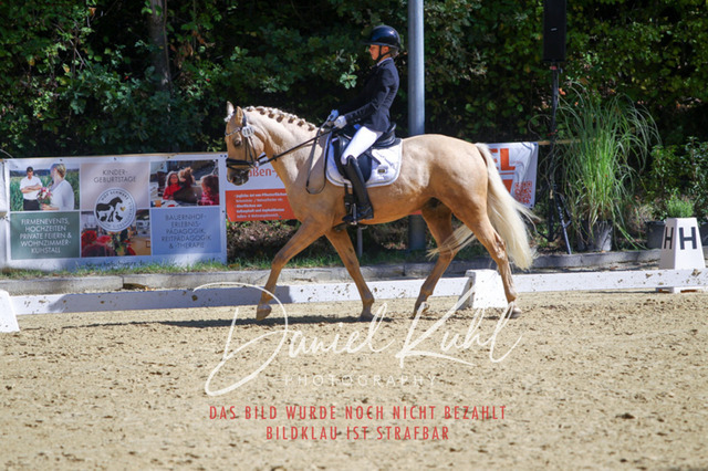 DKP42213 | Turniersportfotografie; Pferdefotografie; Dressurfotografie