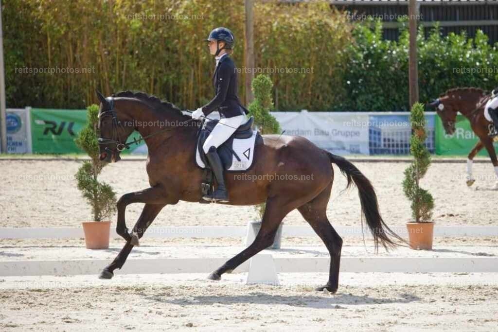 JHE_0864 | JoYa Fotografie - Realisiert mit Pictrs.com