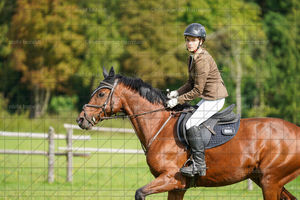 20230917-FAH09242 | Landsberg am Lech, 2023, Kaufbeuren, Kempten, Allgäu, Turnierfotografen Bayern, Fotoagentur Herrmann, Turnierbilder, Reitsport Fotos, Pferdefotograf, Augsburg, Bad Tölz, Dachau, Karlsfeld, Memmingen, Buchloe, Schwabmünchen