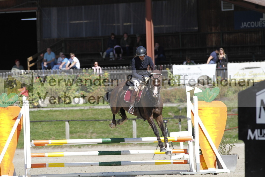 _MG_1785 | equestrian-live-com