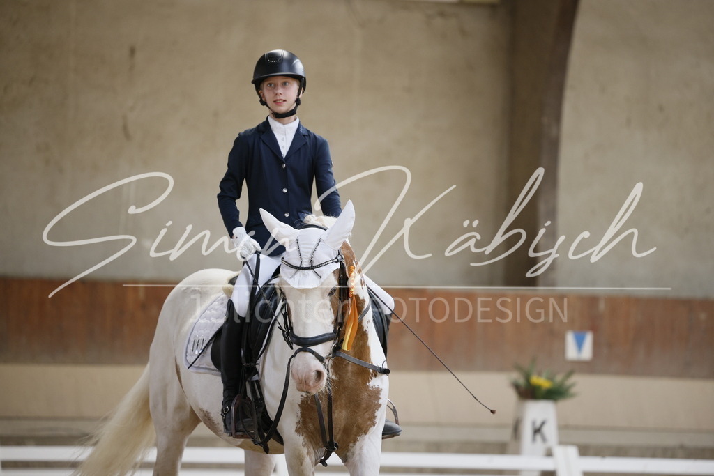 _3LI3106 | Tierfotografie Pferde, Hunde, Katzen, Haustiere.
Turnierfotografie Reitturniere, Reiten, Springreiten, Dressur in Hanau, dem Main-Kinzig-Kreis und dem Rhein-Main- Gebiet um Frankfurt