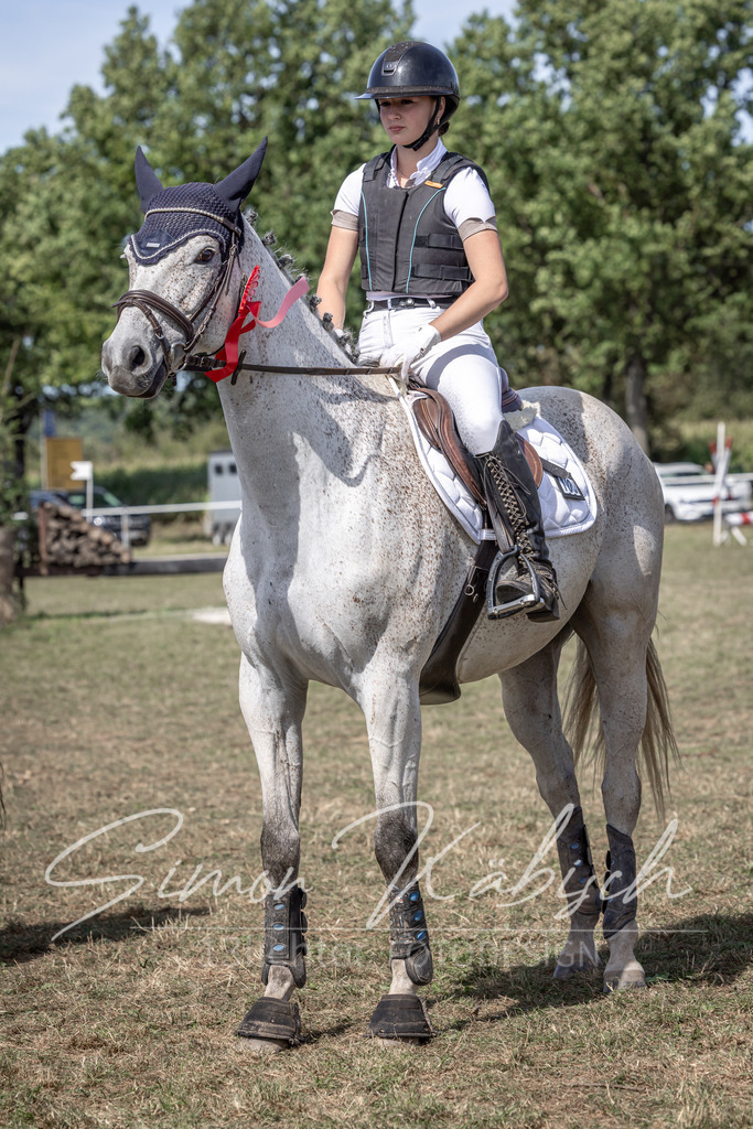 20250907-_3LI0271 | Tierfotografie Pferde, Hunde, Katzen, Haustiere.
Turnierfotografie Reitturniere, Reiten, Springreiten, Dressur in Hanau, dem Main-Kinzig-Kreis und dem Rhein-Main- Gebiet um Frankfurt