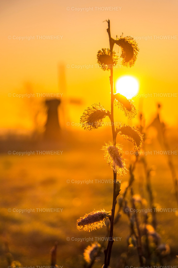 _2840680 | thowehey - Realisiert mit Pictrs.com