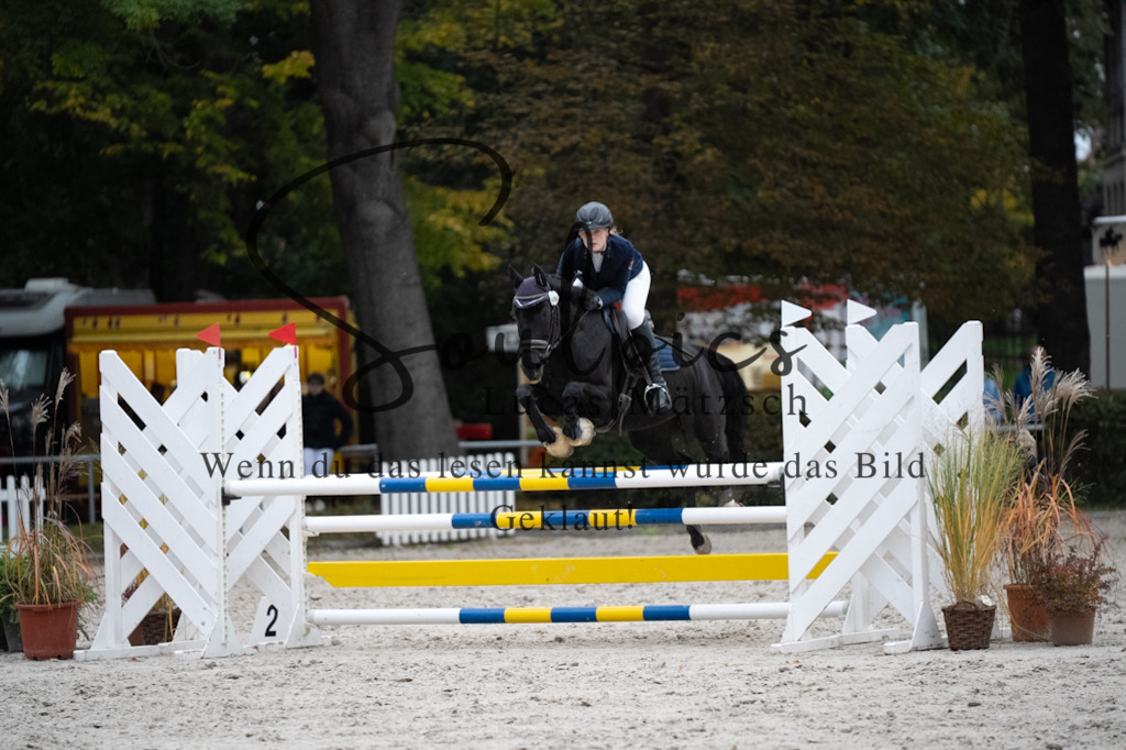 A7V08824 | Pferdefotograf