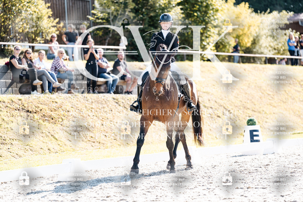 CK905663 | Turnierfotografie Pferdefotografie Trier Rheinland-Pfalz Pferdesport Reitsport Tierfotografie Sportfotografie Pferdevideo Pferdevideografie Equestrianvideography equestrianphotography  - Realisiert mit Pictrs.com