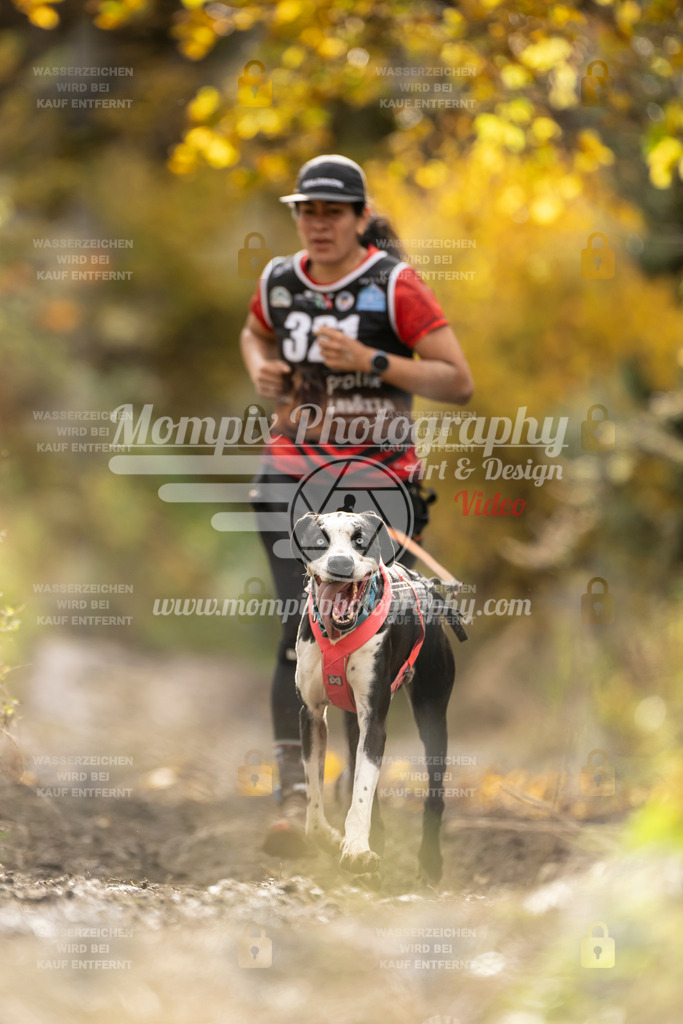 MompixPhotography_ICF_WC_2024_SA_Run_-218 | PayLife