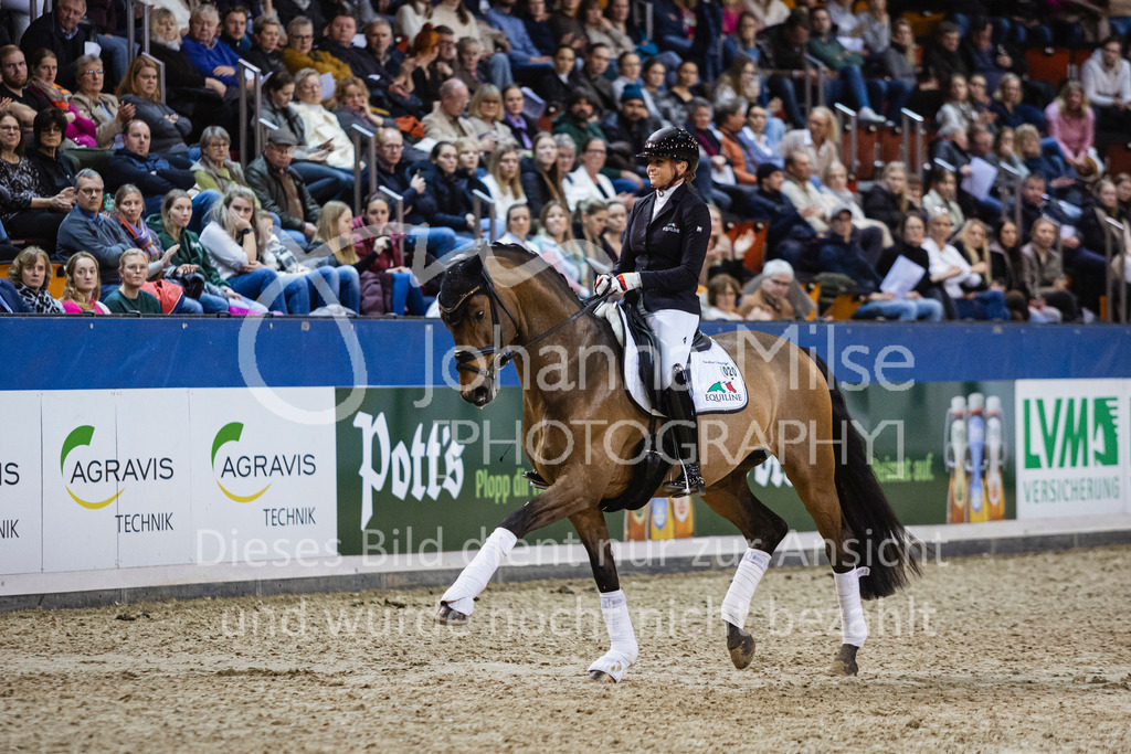 250108_Muenster_Hengstpräsentation-146 | Deine schönsten Turniermomente als professionelle Fotos! Entdecke hochwertige Pferdesport-Fotografie im Online-Shop. Jetzt Fotos finden & bestellen!