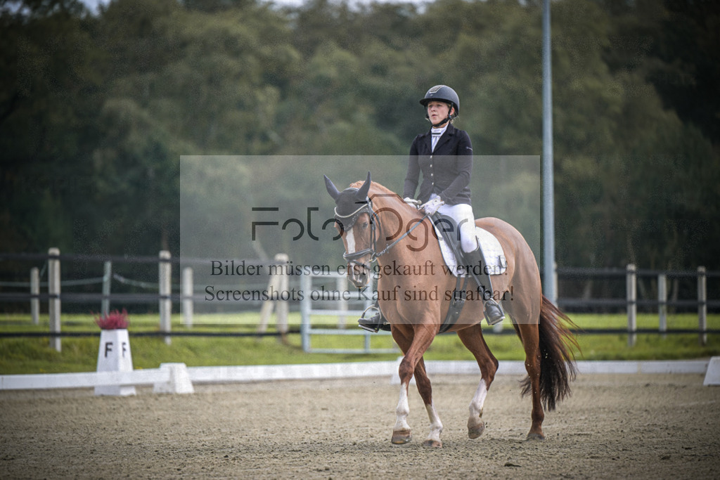 DOS_B390 | Entdecke hochwertige Reitturnierfotos von Foto Oger. Professionell, emotional und authentisch – jetzt Lieblingsmomente im Shop bestellen.Deutschlandweite Turnierfotografie. - Realisiert mit Pictrs.com