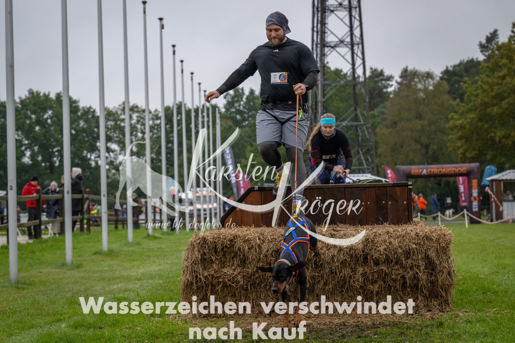 1118-94310 | kk-dogfotos