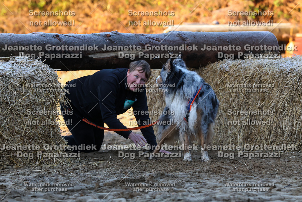 Dog Paparazzi - Strongdog 10-25-456 | Dog Paparazzi Jeanette Grottendiek Fotografie & Videografie - Realisiert mit Pictrs.com