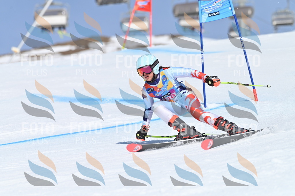 BGV_9796 | holidayphoto