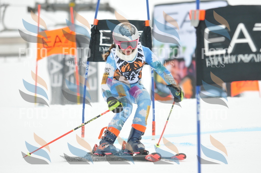 DSC_8040 | holidayphoto