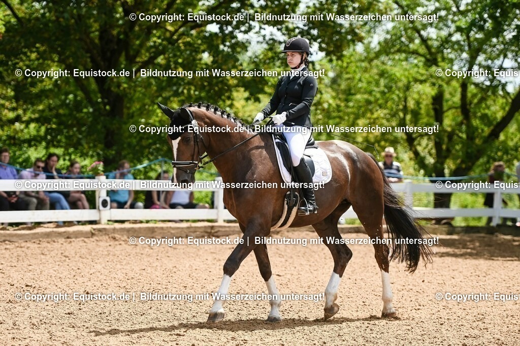 20230716_03_Dressurprfg. Kl.L - Tr._0164 | equistock