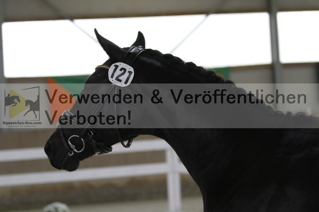 _MG_9516 | equestrian-live-com