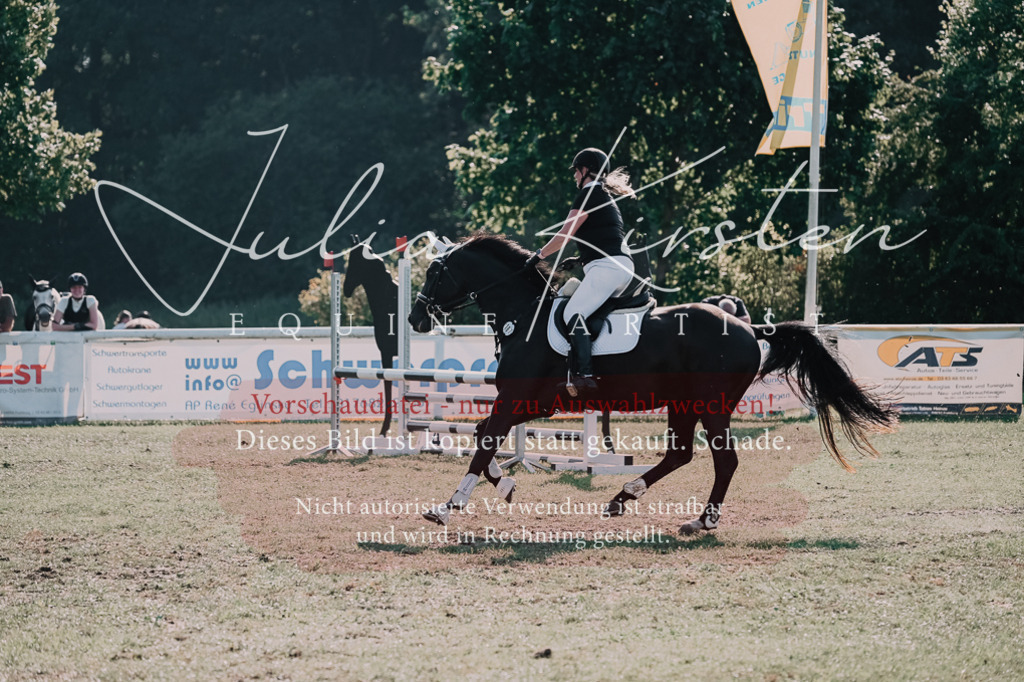 DSC_4767 | Pferde- und Turnierfotografie in Westsachsen. Pferdeportraits, Auftragszeichnungen und intuitive Kunst.