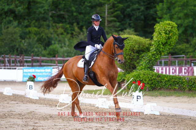 DKP48068 | Turnierfotos kaufen im Webshop von Daniel Kuhl Photography – entdecke professionelle Reitsportfotos aus Turnieren & Events. Hochwertige Turnierbilder online bestellen & sichern. Jetzt Fotos von Reitsportturnieren kaufen!