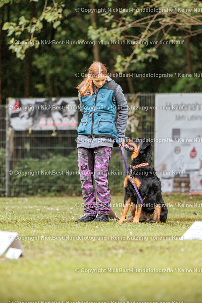 RO-Blumenthal-2026-Nickbest-Hundefotografie-1204 | Dein Hund! Dein Moment! Deine Erinnerungen! Hundefotografie in Bremen Blumenthal. Ich fange die besonderen Momente deines Vierbeiners ein – ob Indoor mit Blitzanlage oder in der freien Natur. Sicher dir dein Moment und dein Termin für eure Erinnerungen.